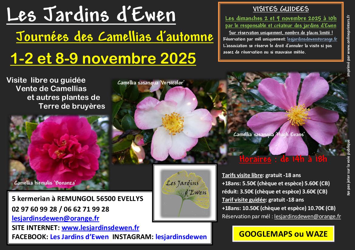 Affiche camellias automne 2026